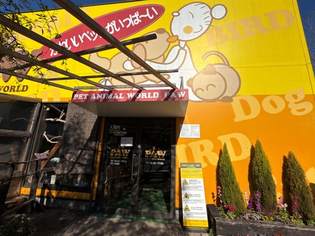 .Ĺ��Х����ѡ������ѥ�IMG_0718