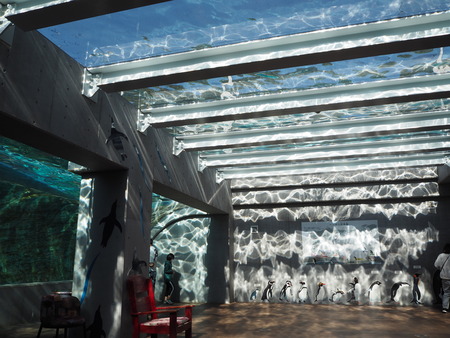 2021.11.14 �����ݻԡ��彽����ư��ʪ�ࡡ�������PB136564