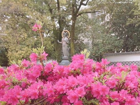 2022.04.13 �������IMG_4842