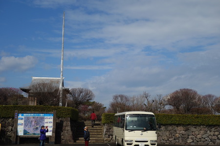 6-島原梅園DSC09504