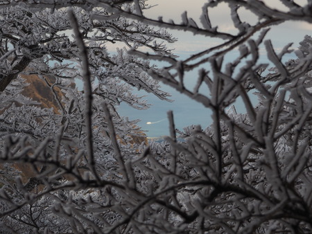 2022.12.03 ±ÀÀç¿ÎÅÄÆ½¡¢Ì¯¸«³Ù¡¡Ì¸É¹P1011747