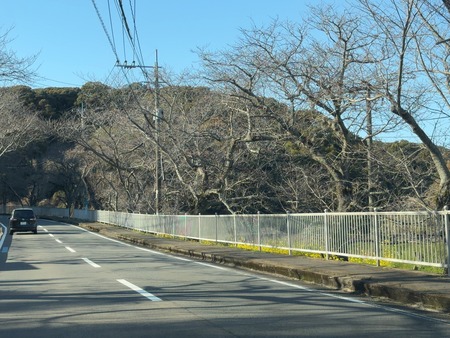 ¿�ɸ�Į����Х���κڤβ�IMG_3020