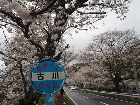 16-�����¿�ɸ�Į������Х���κ�����P3203822