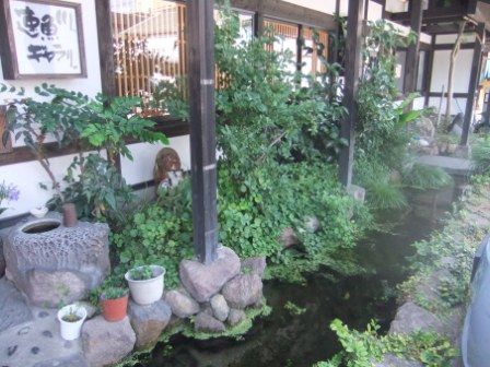 城下町の憩い処 茶房 ギャラリー速魚川 島原市上の町 長崎 諫早市民 ふくちゃんの食う 寝る 遊ぶ日記 城下町の憩い処 茶房 ギャラリー速魚川 島原市上の町 長崎 諫早市民 ふくちゃんの食う 寝る 遊ぶ日記