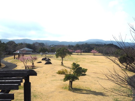 ���������ࡡ�����ε�P2221442