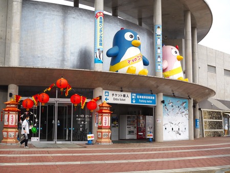 Ĺ��ԡ�Ĺ��ڥ󥮥��²��P2141835