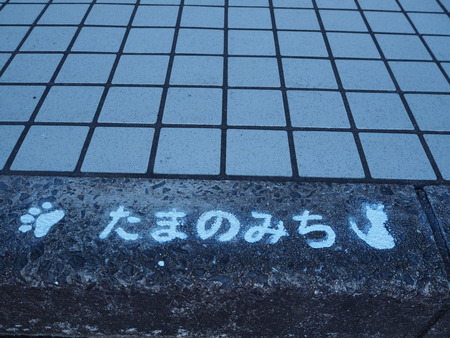 1-たまのみちPB205764