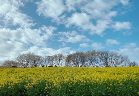 2022.03.29 ����ԡ��������⸶IMG_3114