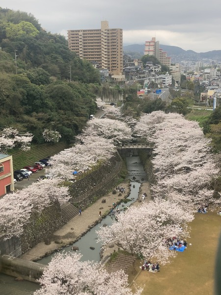 2024.03.31 西山下流ダム公園IMG_7934