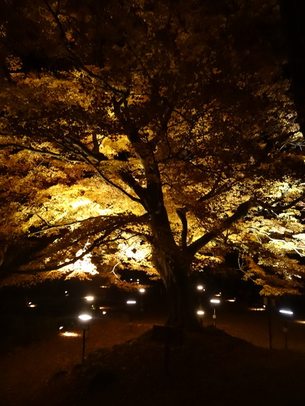 ���ݸ������ڱ�DSC09634