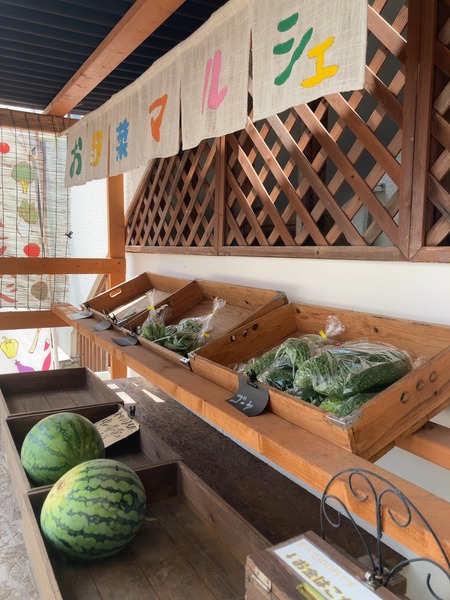 2023.08.19������Ծ���Į��������ȡ���������゙�ࡼ�뾮����Ź�����IMG_6352