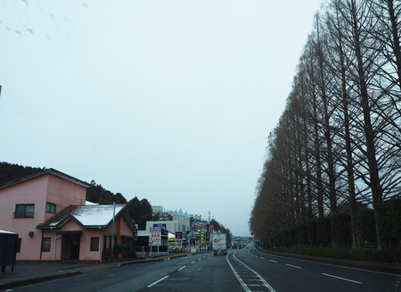 運動公園付近P2182882