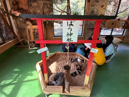 .Ĺ��Х����ѡ������ѥ�IMG_0774