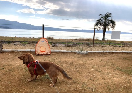 2024.12.17������ԡ����饳�������ץӥ�å����ޤ���IMG_2354