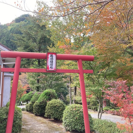 2021.11.12 大村市 黒木民宿キャンプ場IMG_6900