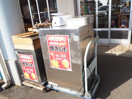 諫早市小長井町 山茶花高原P1161631