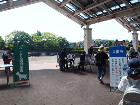 7-¥Ï¥¦¥¹¥Æ¥ó¥Ü¥¹¡¡2020¥Ð¥éº×P5242120