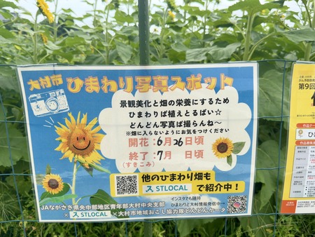 ¤¾¾Åº¤µ¤ó¤Î¤Ò¤Þ¤ï¤êȪIMG_5831