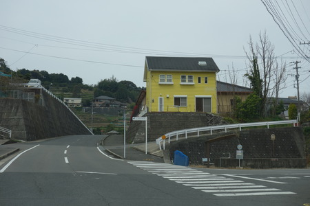 DSC03520