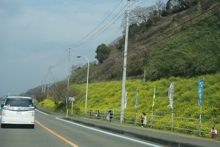 10-£Ö¥Õ¥¡¡¼¥ì¥óĹºê¡¡°¦É²ÀïDSC00747