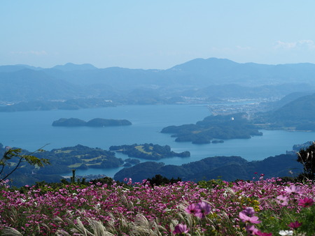 2022.10.28���׳��ֿ����PA232392