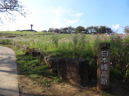 4-�������⸶DSC05543