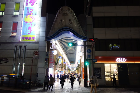 1-��ֲ�DSC06248