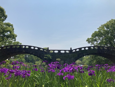 2022.05.24���������IMG_8247