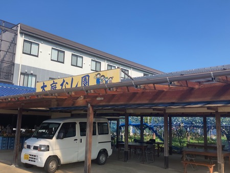 �����ʤ���IMG_4965