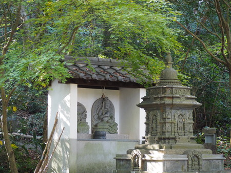 2025.11.28������ԡ�ŷʹ��PB281509