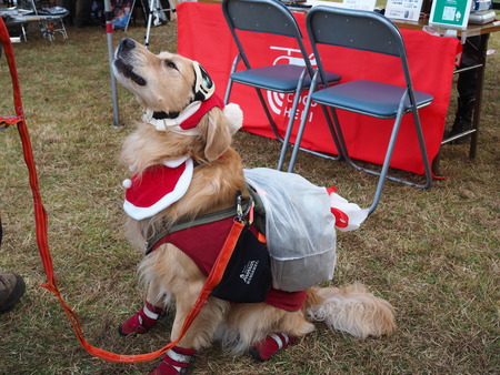 2024.12.01 taradake outdoor garaPC020150