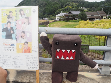 24-波佐見町 鬼木棚田まつりPA060189