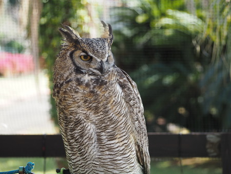 2021.11.14 �����ݻԡ��彽����ư��ʪ�ࡡ�������PB136200