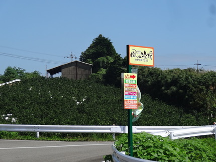 7-風の牧場DSC02421
