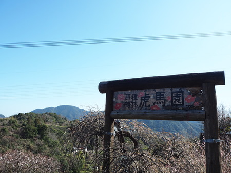 4-長崎市 虎馬園P2233332