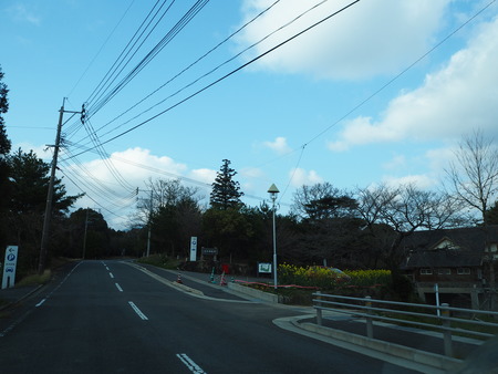 1-長崎県諫早市 白木峰高原P3180209