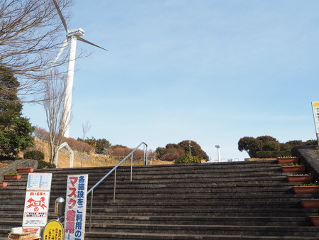 諫早市小長井町 山茶花高原P1161522