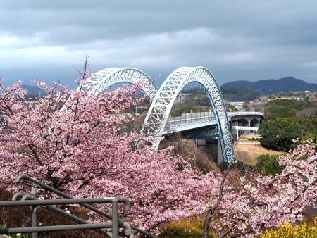 ����������β��ź�P2221427