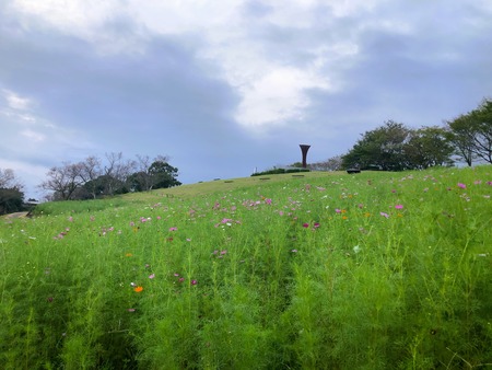 2023.09.30������ԡ��������⸶IMG_9940