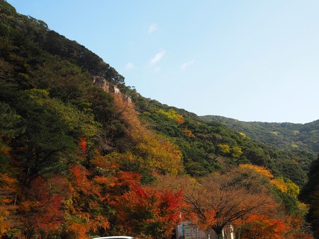 ����Թ���Į�����ή������־��ն�PB261681