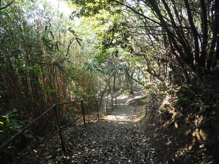 2023.07.24������������Į����곤����쥭���׾�P1018366