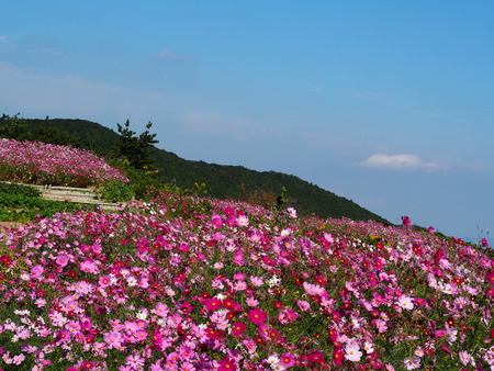 2022.10.28���׳��ֿ����PA232424