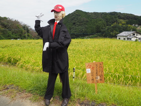 ȺĮêĤޤĤꭡȥP9241126