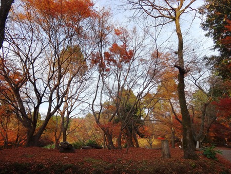 8-DSC05440