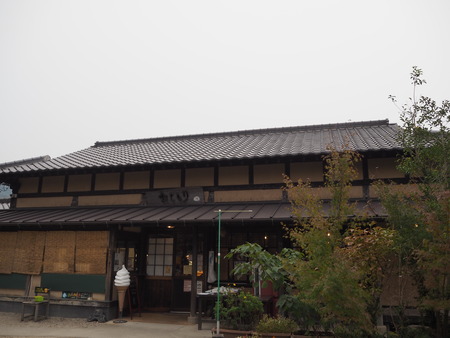 29-佐賀県みやき町 山田 ひまわり園 おしとりPB033878