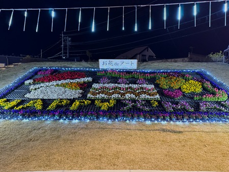 ����¼�ظ���IMG_7997