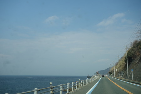 8-£Ö¥Õ¥¡¡¼¥ì¥óĹºê¡¡°¦É²ÀïDSC00733