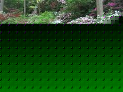 dai-22DSCF6582