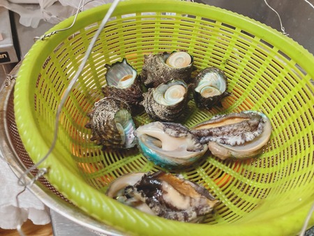 2021.06.22 ¾®ÉͲ¹Àô¡¡¾øµ¤²°IMG_1911 - ¥³¥Ô¡¼