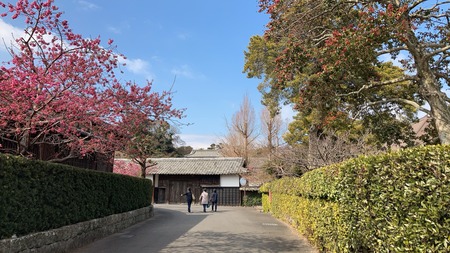2022.02.18 雲仙市国見町 神代小路IMG_8423